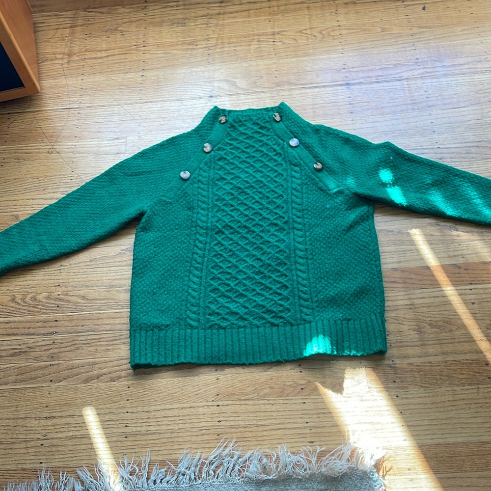 Ann Taylor green mock neck sweater.